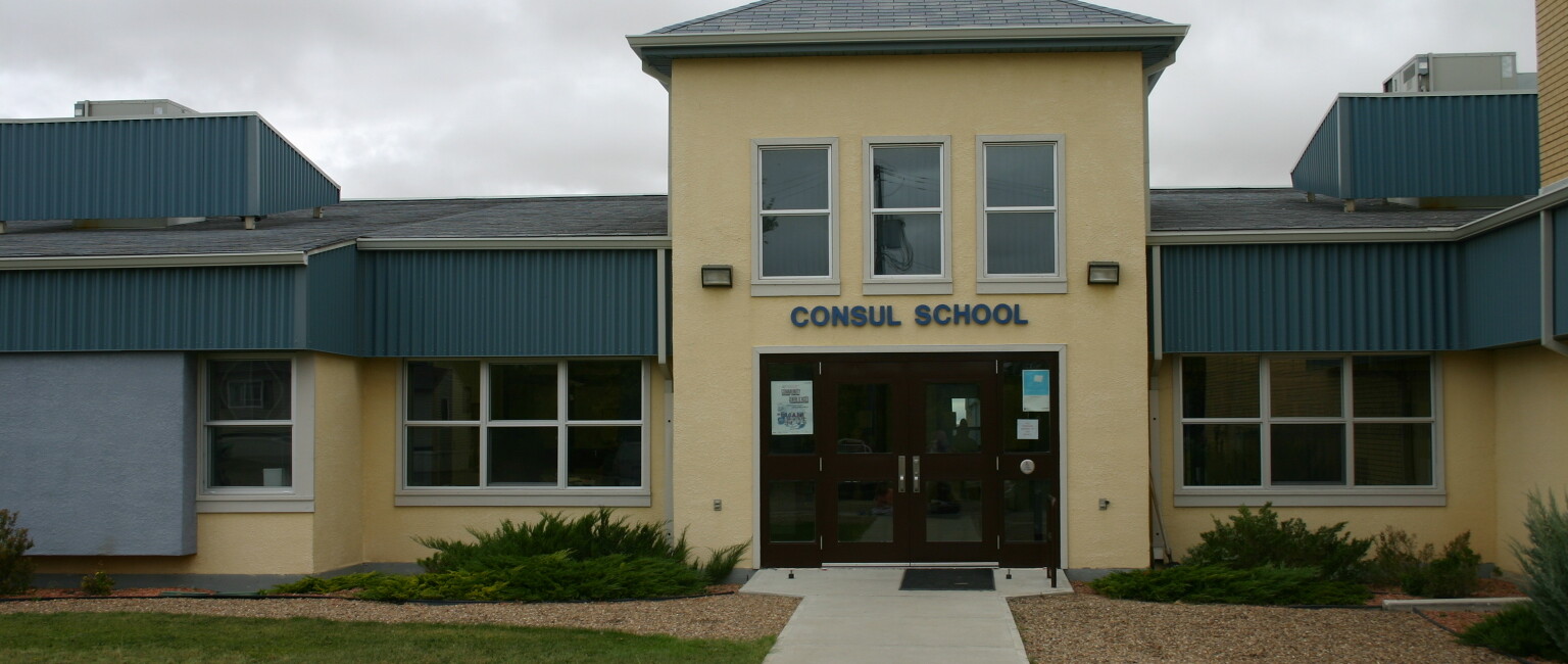 Picture of consul school